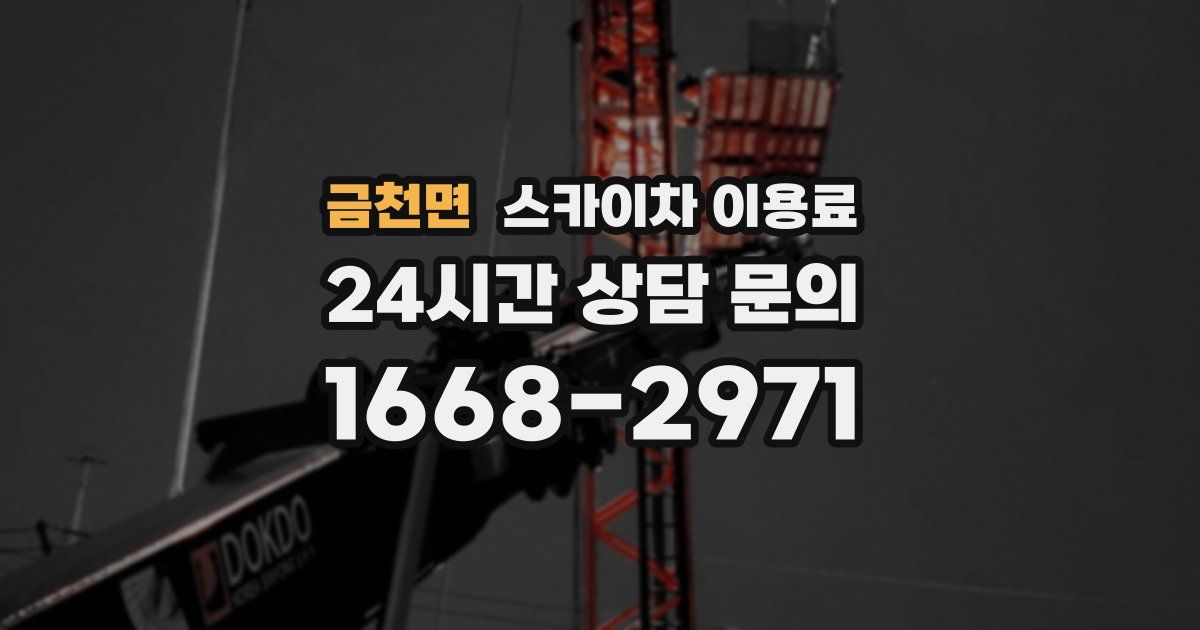 금천면 스카이차 이용료