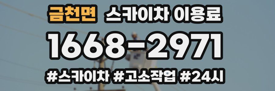 금천면 스카이차 이용료