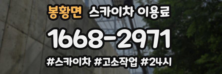 봉황면 스카이차 이용료