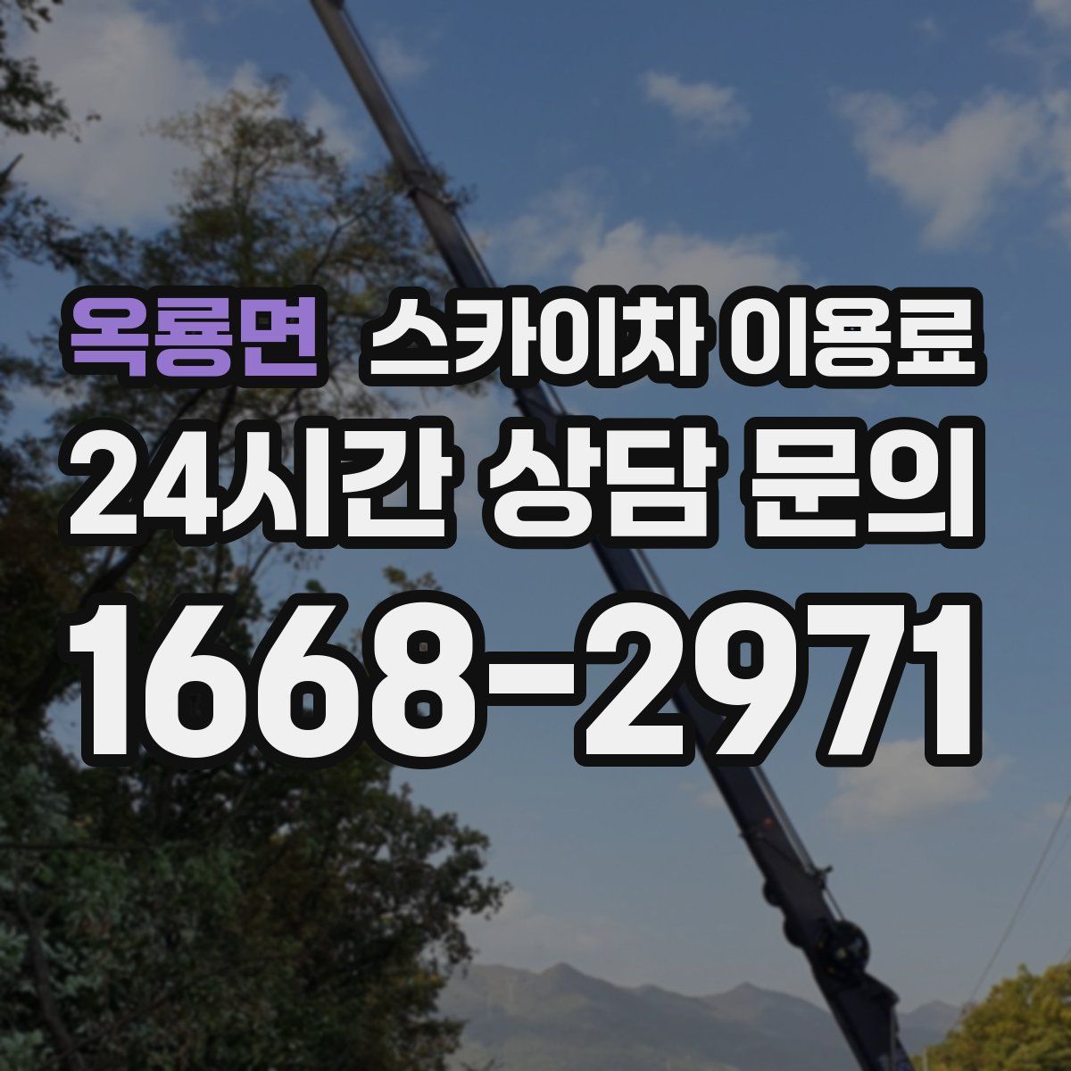 옥룡면 스카이차 이용료