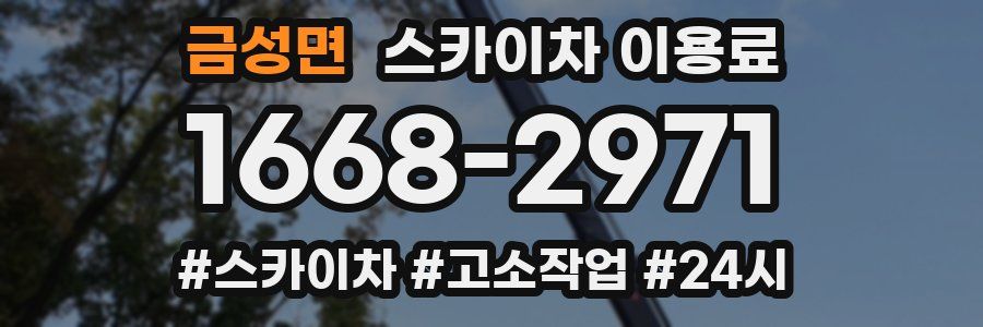 금성면 스카이차 이용료