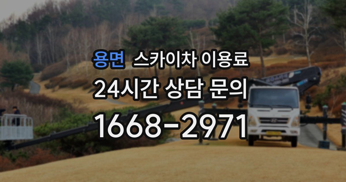 용면 스카이차 이용료