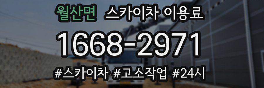 월산면 스카이차 이용료
