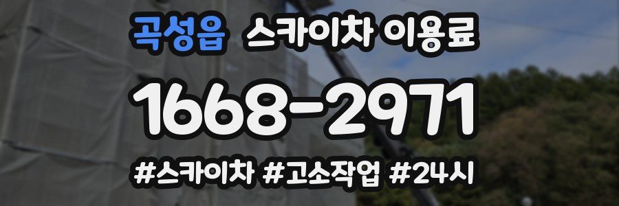 곡성읍 스카이차 이용료