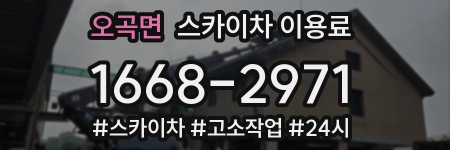 오곡면 스카이차 이용료