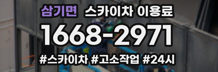 삼기면 스카이차 이용료