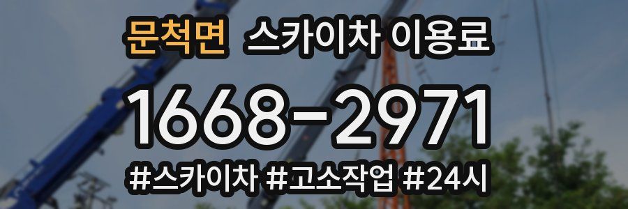 문척면 스카이차 이용료