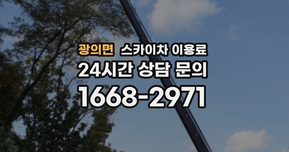 광의면 스카이차 이용료