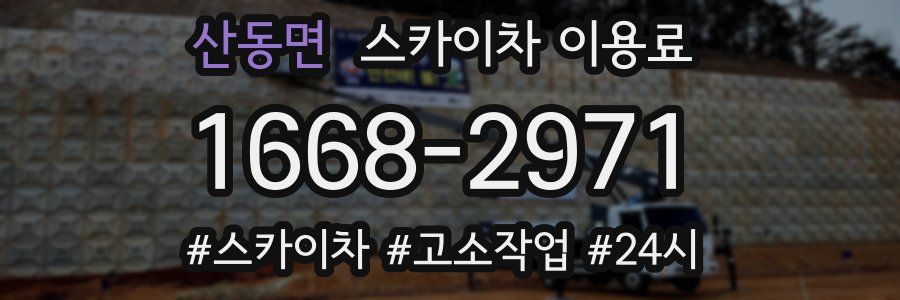 산동면 스카이차 이용료