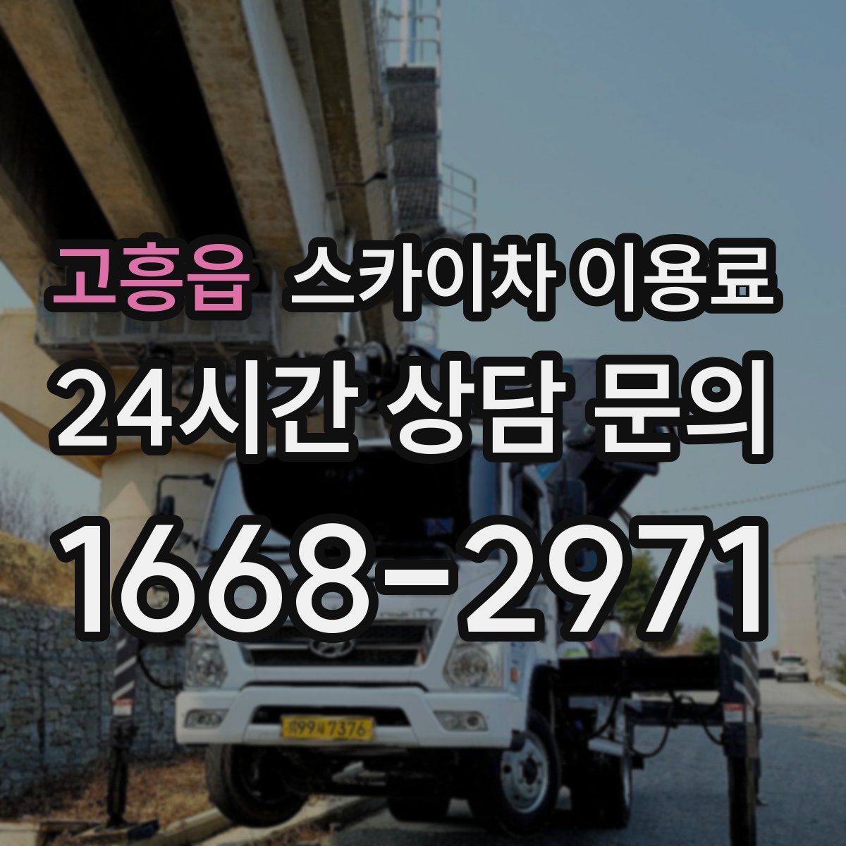 고흥읍 스카이차 이용료