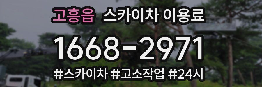 고흥읍 스카이차 이용료