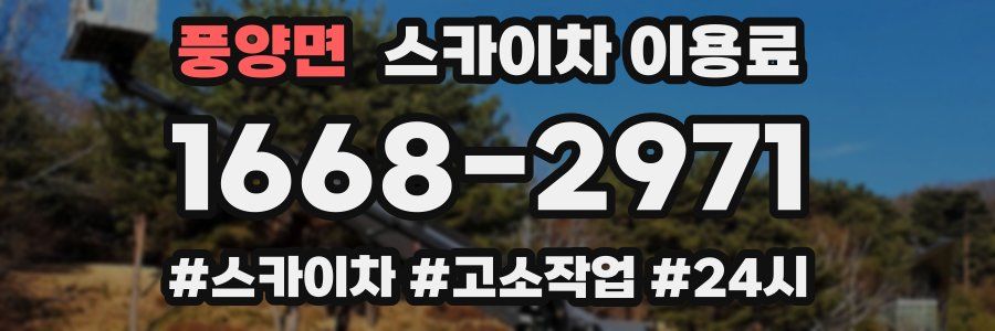 풍양면 스카이차 이용료
