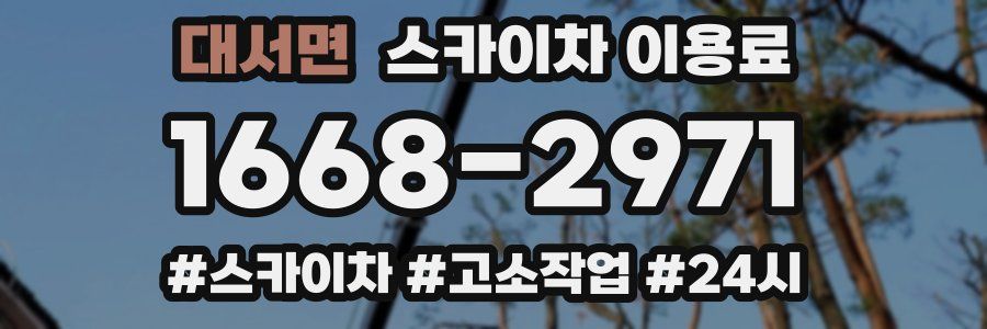 대서면 스카이차 이용료