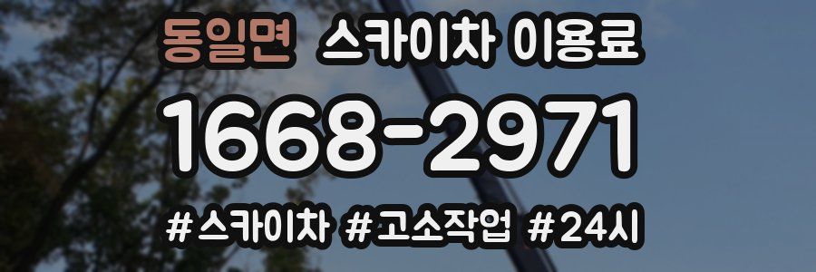 동일면 스카이차 이용료