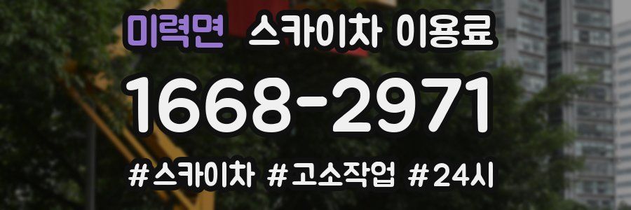 미력면 스카이차 이용료