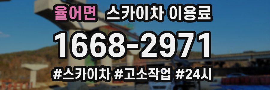율어면 스카이차 이용료