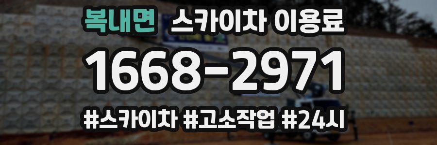 복내면 스카이차 이용료
