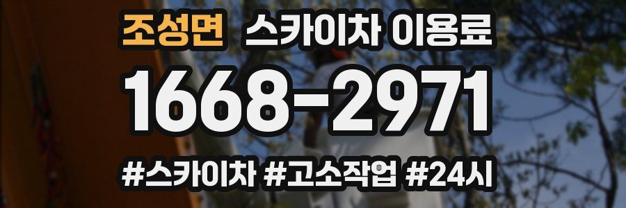 조성면 스카이차 이용료
