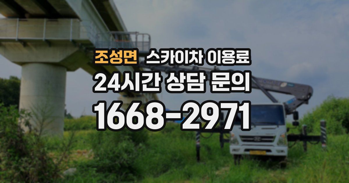 조성면 스카이차 이용료