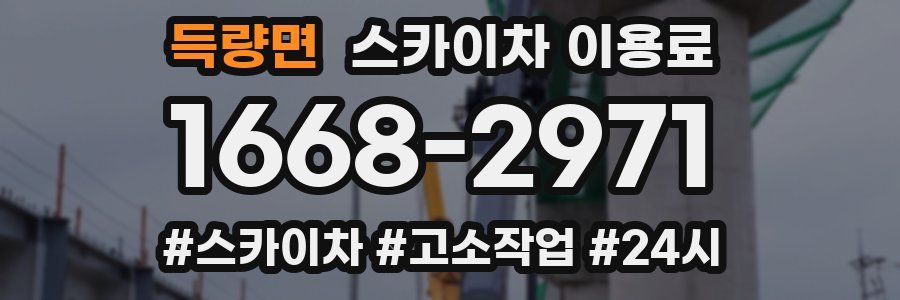 득량면 스카이차 이용료