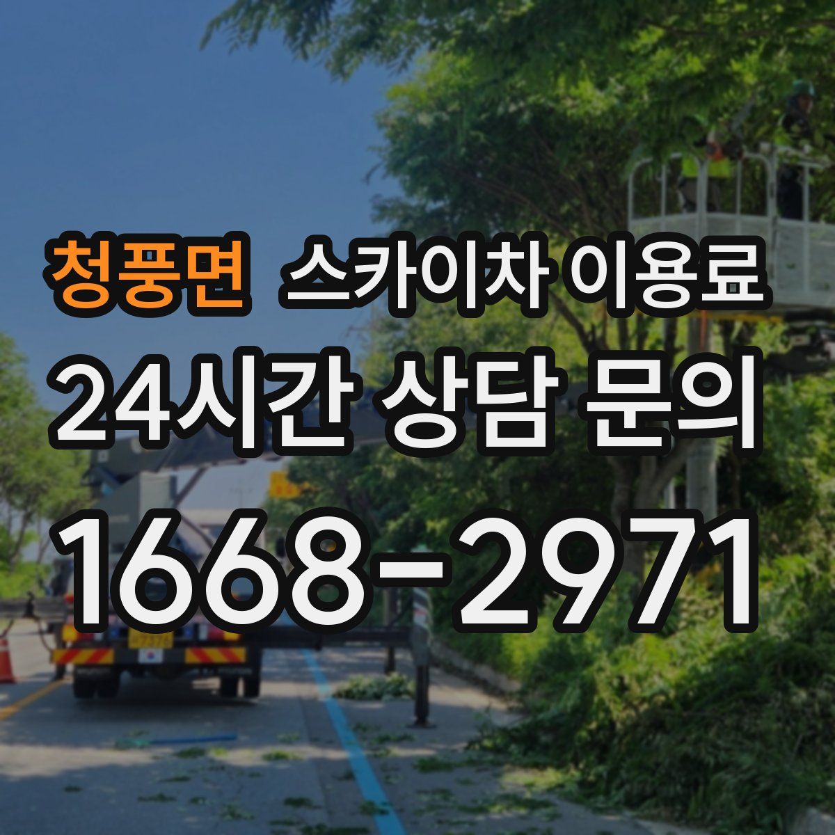 청풍면 스카이차 이용료
