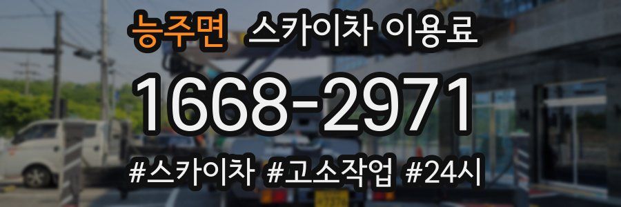 능주면 스카이차 이용료