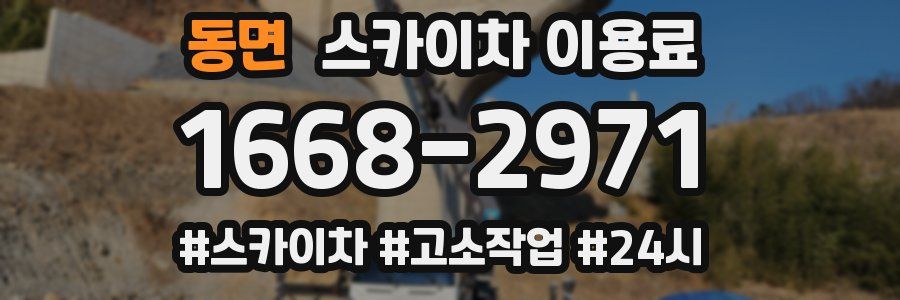 동면 스카이차 이용료