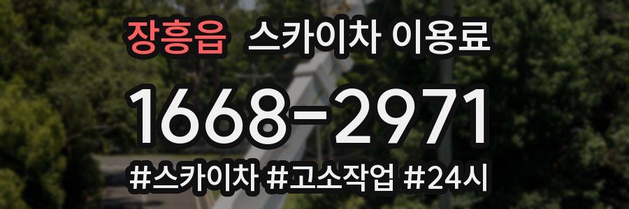 장흥읍 스카이차 이용료