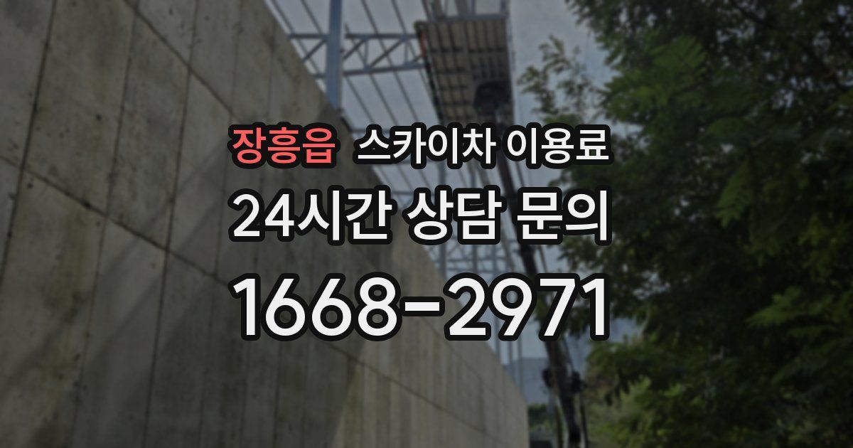 장흥읍 스카이차 이용료