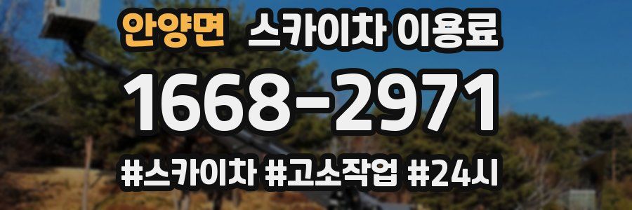 안양면 스카이차 이용료
