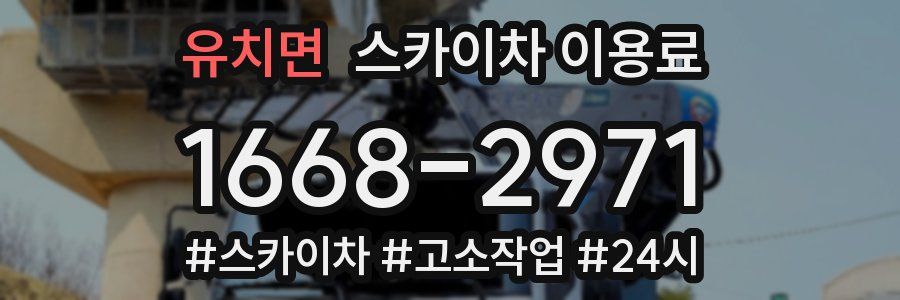 유치면 스카이차 이용료