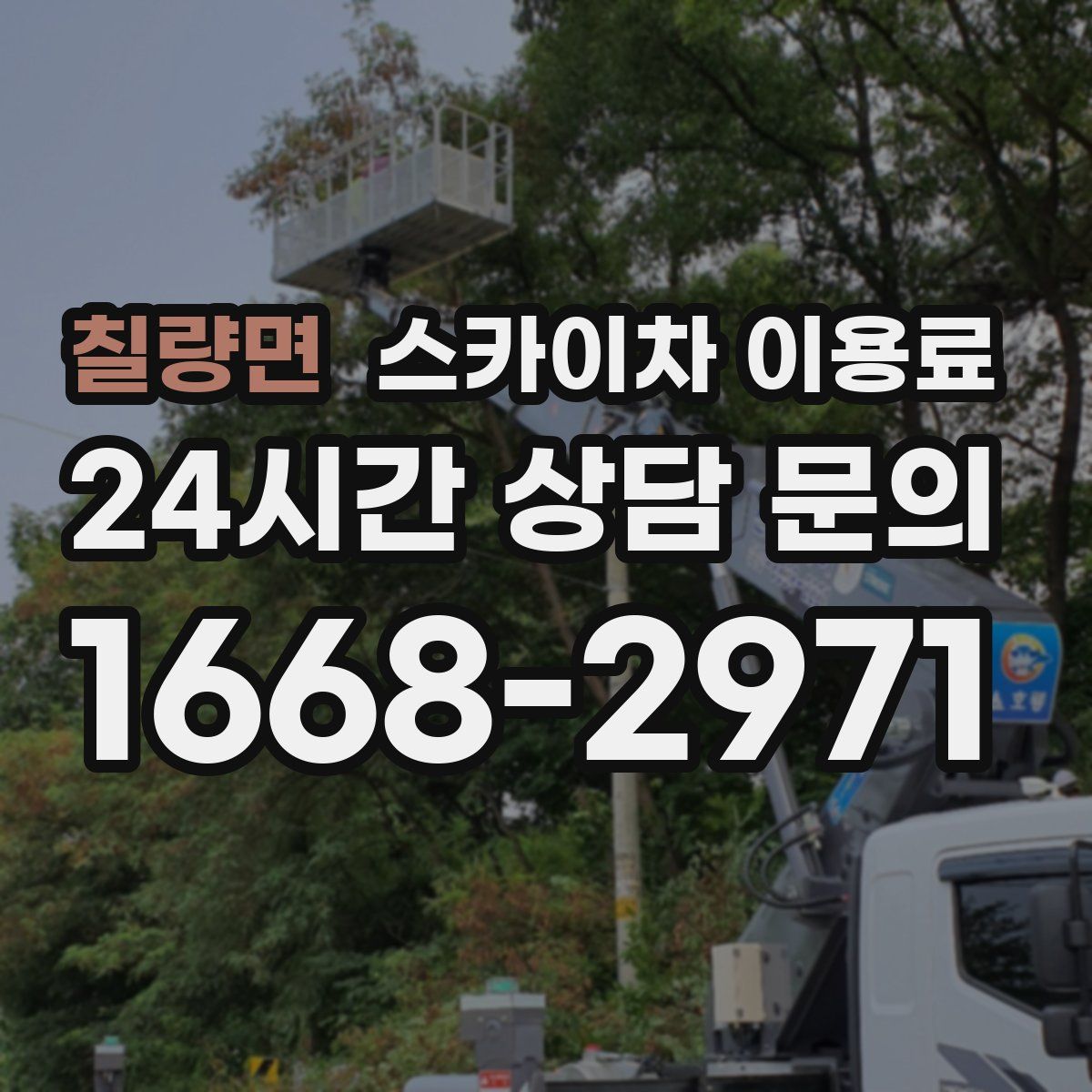 칠량면 스카이차 이용료