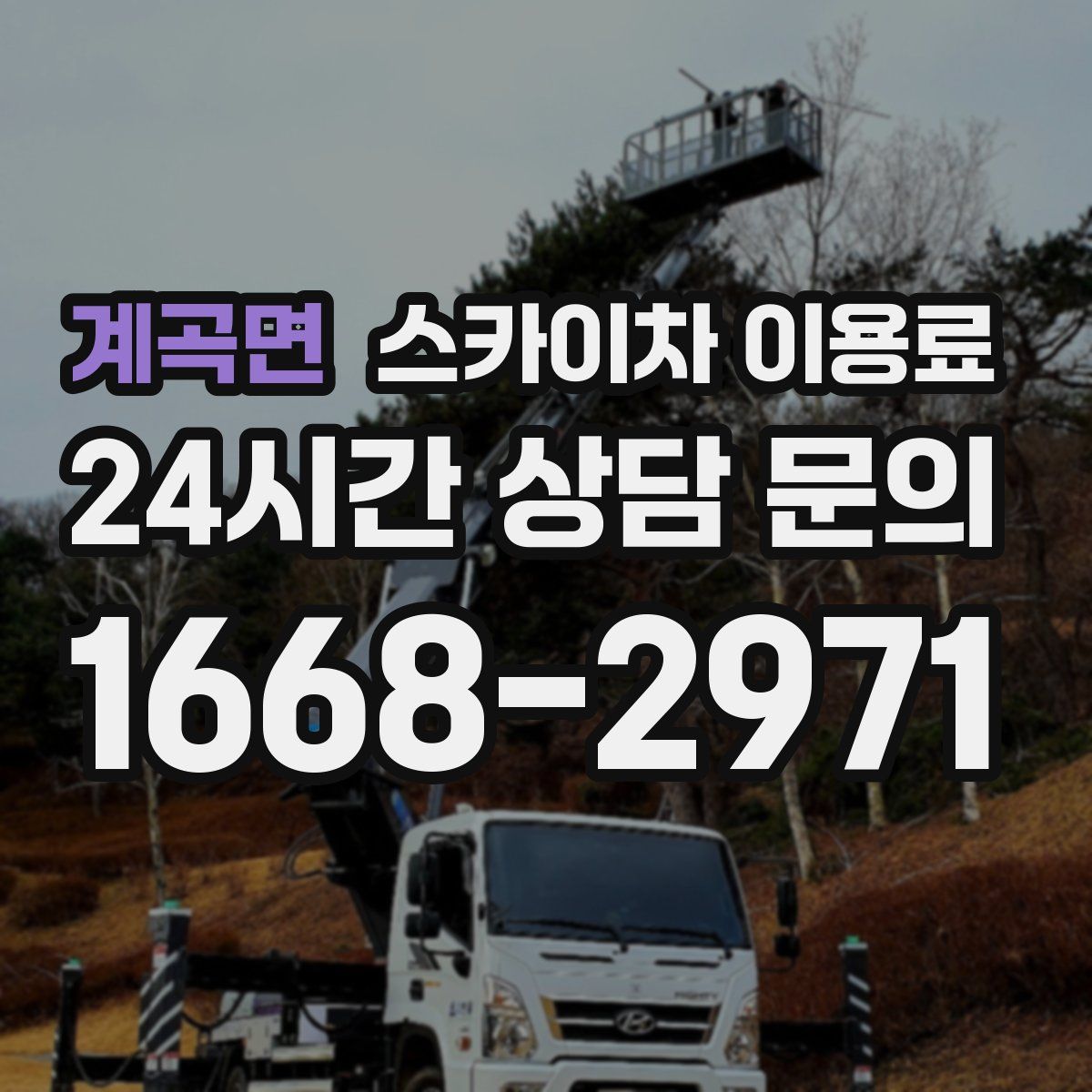 계곡면 스카이차 이용료