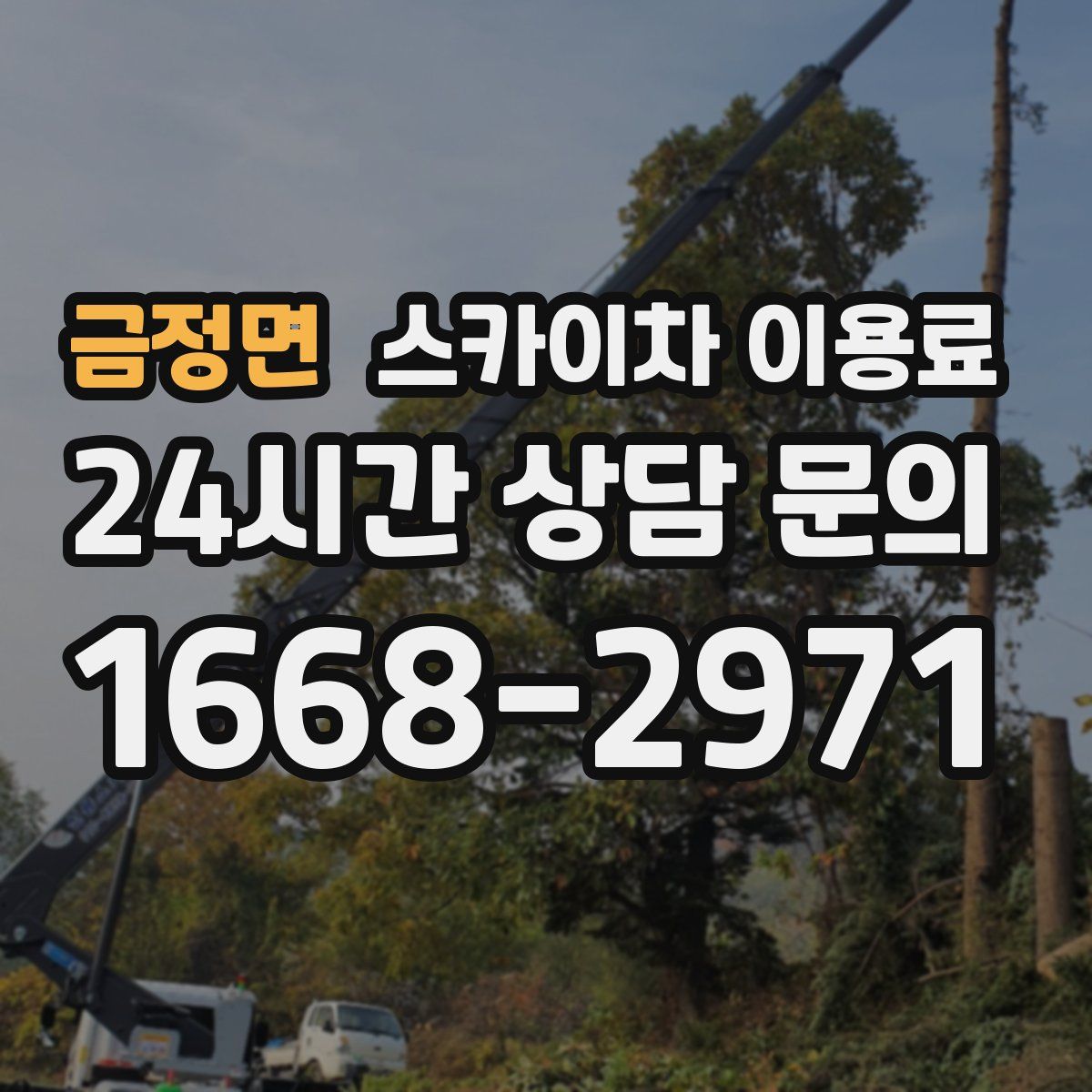 금정면 스카이차 이용료