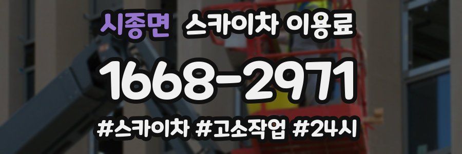 시종면 스카이차 이용료