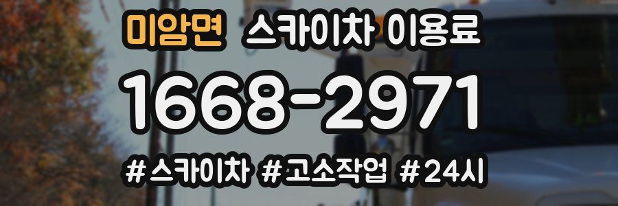 미암면 스카이차 이용료