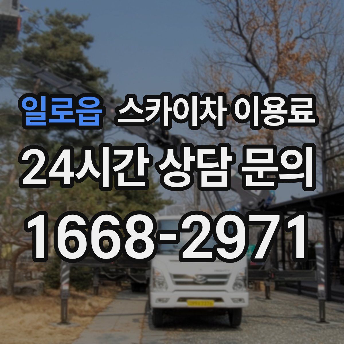 일로읍 스카이차 이용료