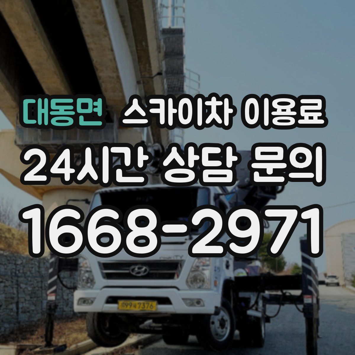 대동면 스카이차 이용료