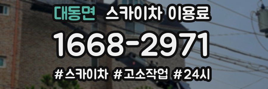 대동면 스카이차 이용료