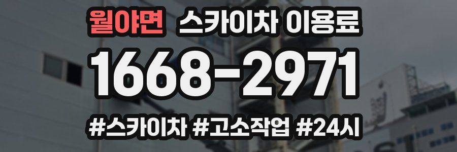 월야면 스카이차 이용료