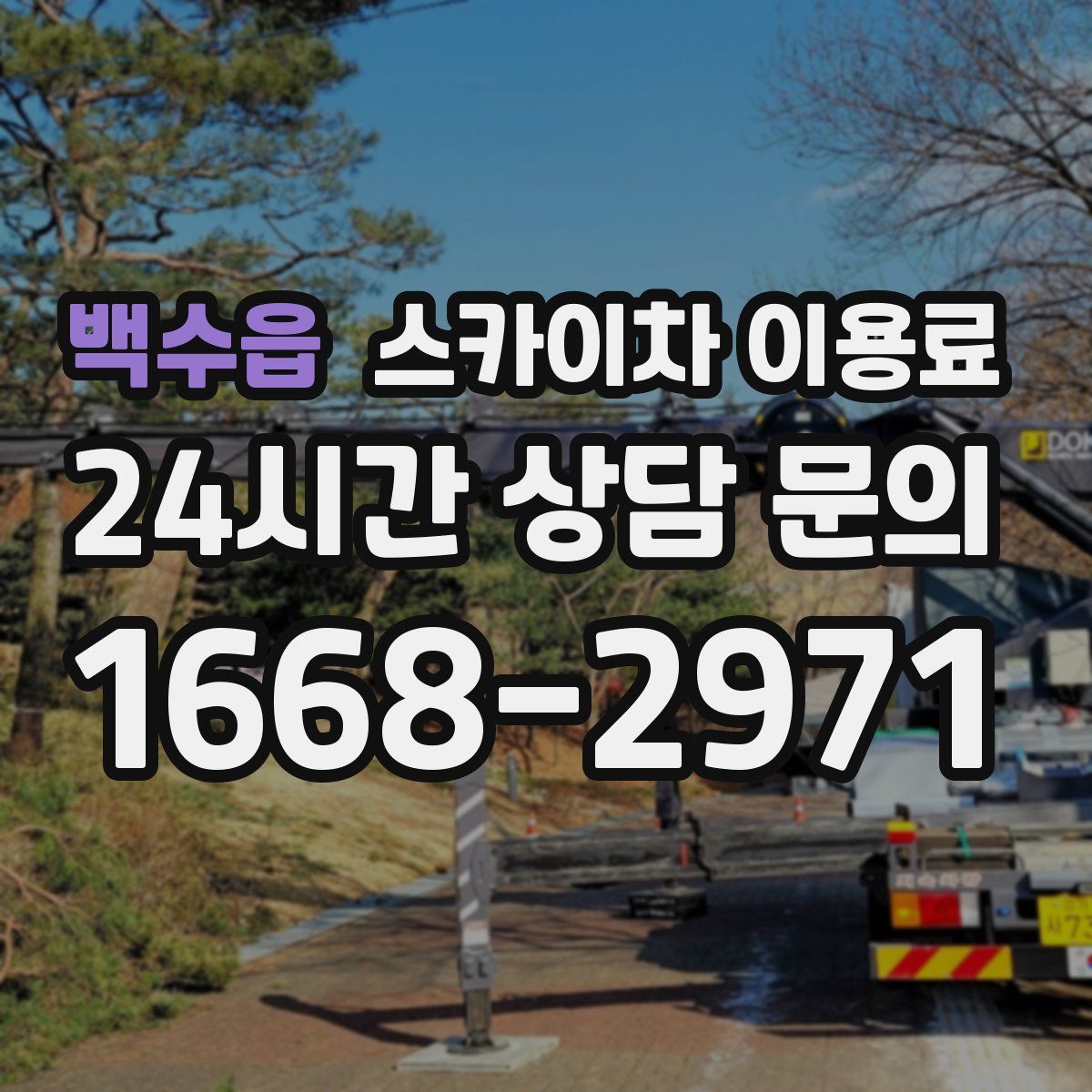 백수읍 스카이차 이용료