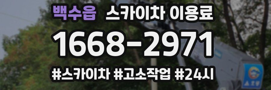 백수읍 스카이차 이용료