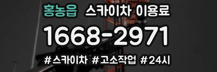 홍농읍 스카이차 이용료
