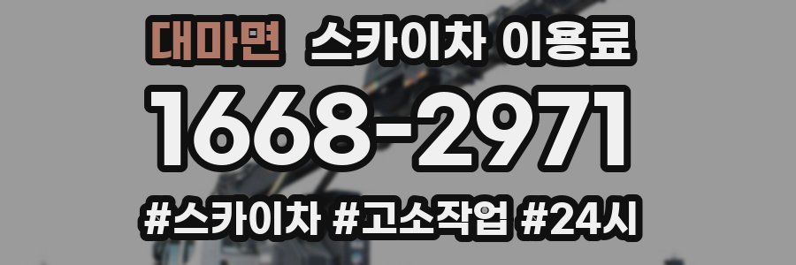 대마면 스카이차 이용료