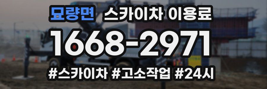 묘량면 스카이차 이용료