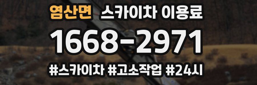 염산면 스카이차 이용료