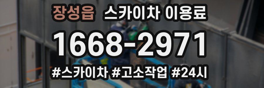 장성읍 스카이차 이용료