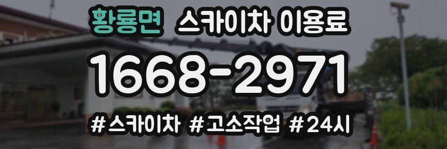 황룡면 스카이차 이용료