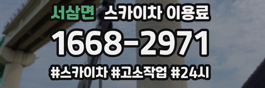 서삼면 스카이차 이용료