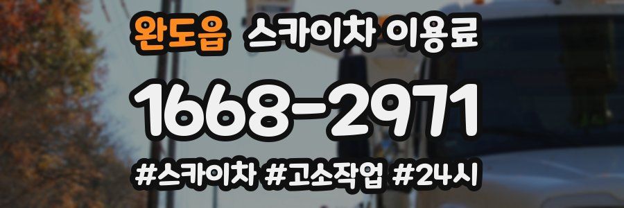 완도읍 스카이차 이용료